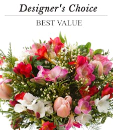 Designer's Choice - Best Value