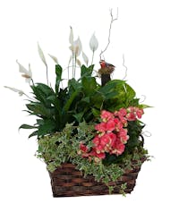 Living Blooming Garden Basket