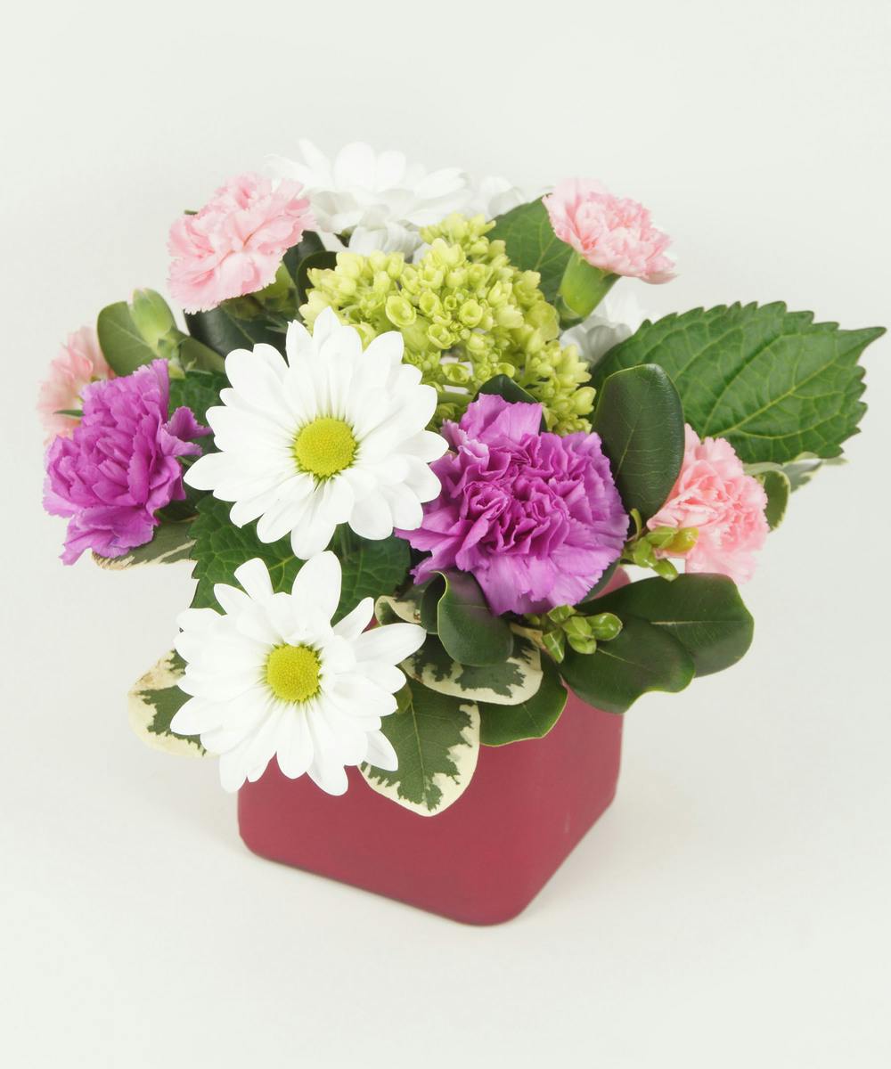 SPRINKLE OF LOVE Fargo (ND) SameDay Flower Delivery Shotwell Floral