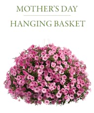 Mom's Hanging Basket