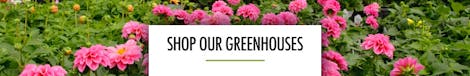 Shop Our Greenhouses
